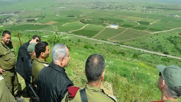 أرشيفية 