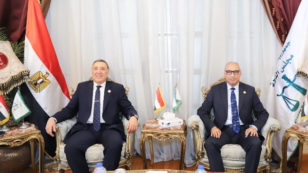 مجلس الدولة