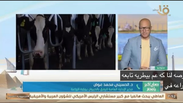 صباح الخير يا مصر