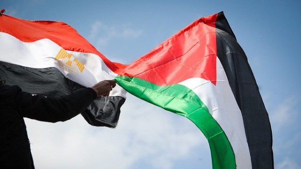 اللجنة المصرية لإغاثة غزة: افتتاح 19 مدرسة في قطاع غزة بتوجيهات من الرئيس السيسي اللجنة المصرية لإغاثة غزة: افتتاح 19 مدرسة في قطاع غزة بتوجيهات من الرئيس السيسي