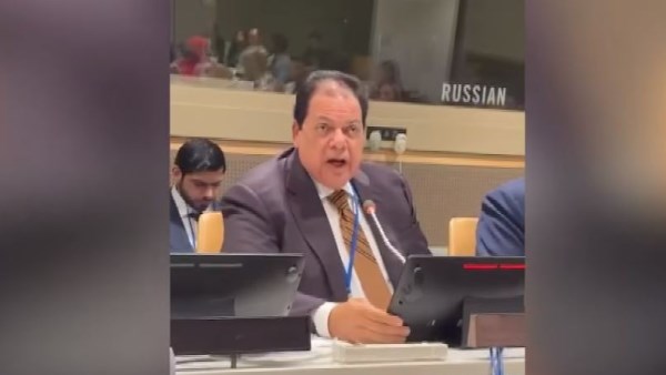 النائب محمد أبو العينين 
