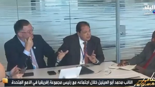 أبو العينين 