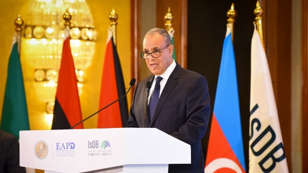 وزير الخارجية الدكتور بدر عبد العاطي 