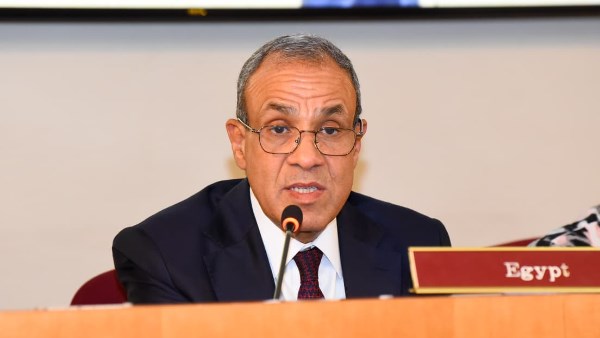 وزير الخارجية الدكتور بدر عبد العاطي 