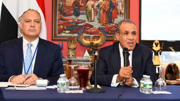 وزير الخارجية الدكتور بدر عبد العاطي 