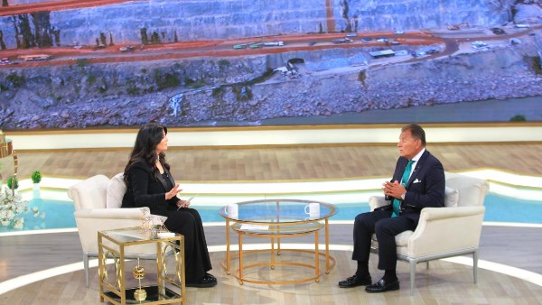 باشات