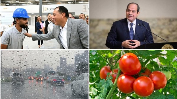  التوك شو|