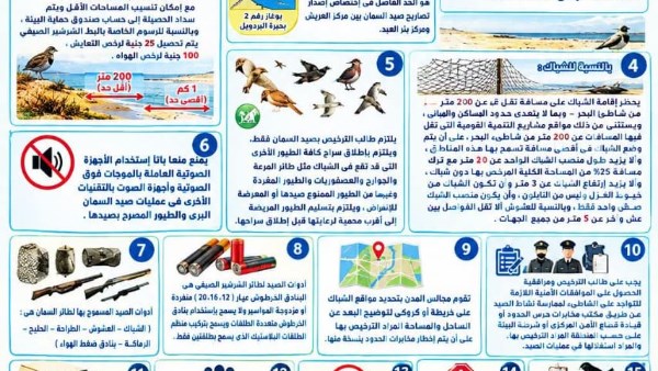  ضوابط صيد السمان والشرشير الصيفي 