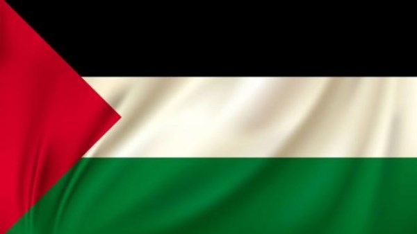 القوى الفلسطينية