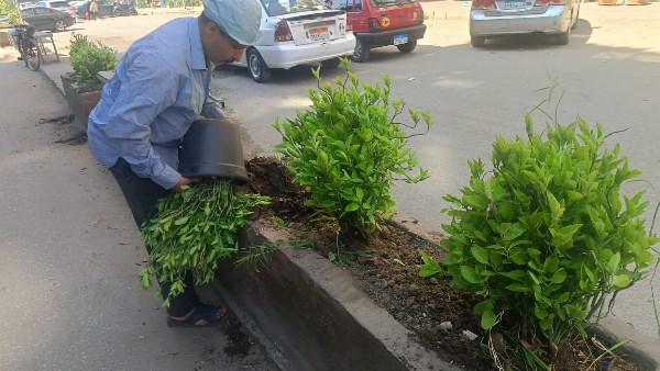 زيادة المساحات الخضراء