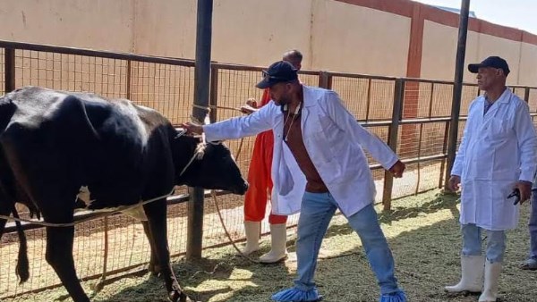 مديرية الطب البيطرى باسوان