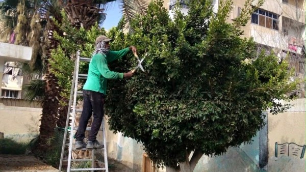 مدارس السويس تستعد للدراسة بحملات مكثفة لتجميل محيطها ورفع كفاءتها