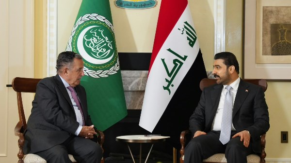نبيل فهمي ورئيس الوزراء العراقي
