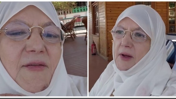 شمس البارودي 