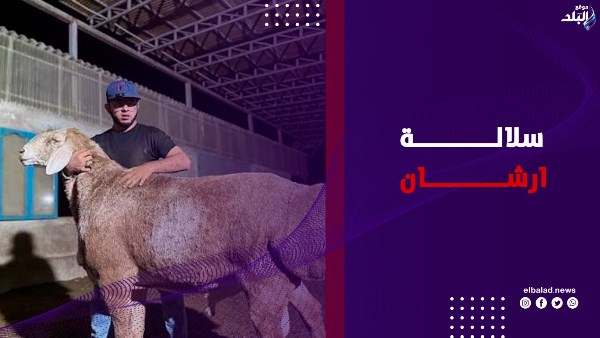 سلالة أرشان