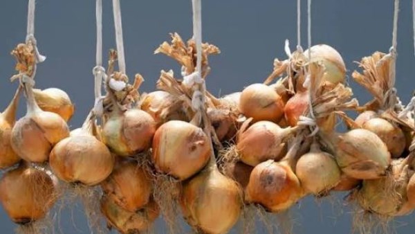 البصل بيطلع عروق بسرعة؟ 5 أخطاء تسرّع تلفه في المطبخ 