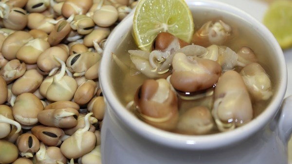 طريقة عمل شوربة الفول النابت