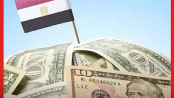 من 33% إلى 46%.. نائب يكشف تطورات خدمة الدين منذ برلمان 2012