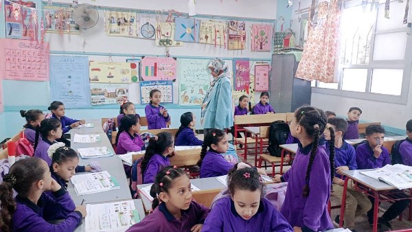 نائبة بالشيوخ تنتقد كثرة التقييمات