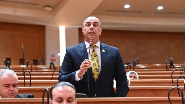 النائب محمد بلتاجي