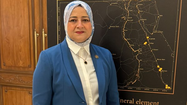 النائبة الدكتورة المهندسة مروة قنصوة