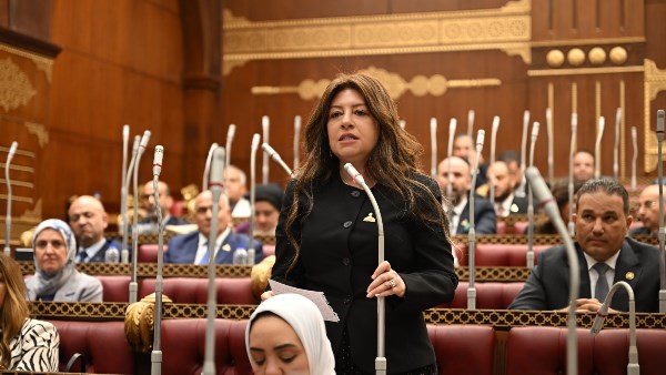 برلمانية: اجتماعات الرئيس السيسي تستهدف حماية مقدرات الدولة ومواصلة مسيرة البناء برلمانية: اجتماعات الرئيس السيسي تستهدف حماية مقدرات الدولة ومواصلة مسيرة البناء