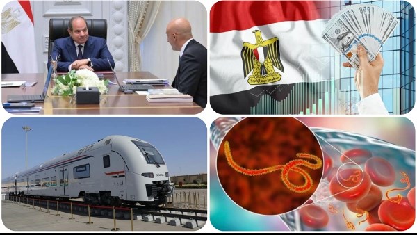 صدى البلد