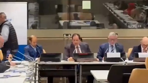 النائب محمد أبو العينين