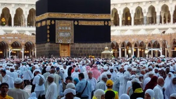 بعد حادثة حافلة المعتمرين المصريين.. آخر التطورات وحالة المصابين بعد حادثة حافلة المعتمرين المصريين.. آخر التطورات وحالة المصابين