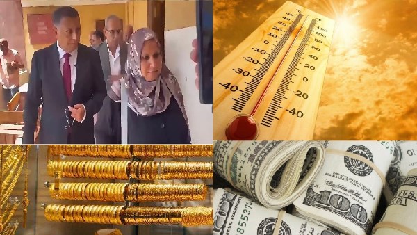 صورة الملف