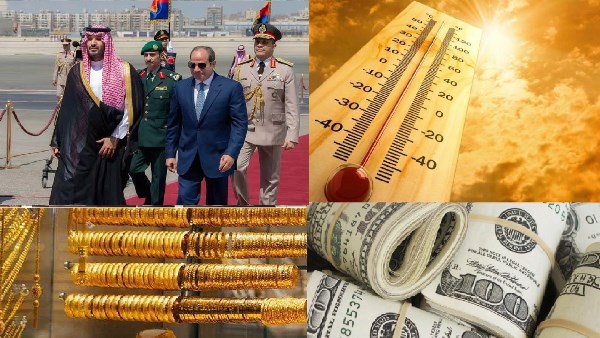 صورة الملف