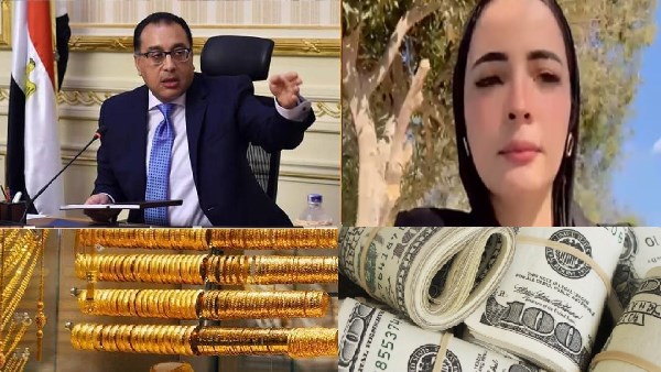 صورة الملف