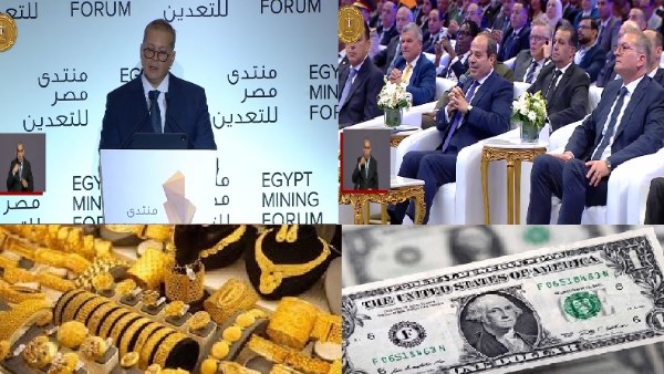 صورة الملف