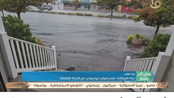 جانب من التغطية 