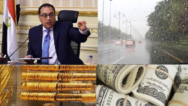 صورة الملف