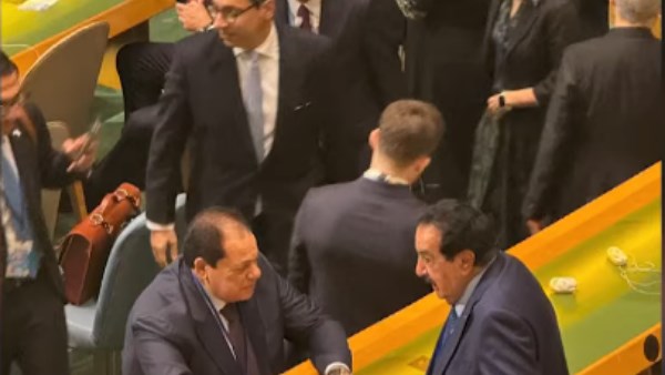 النائب محمد أبو العينين