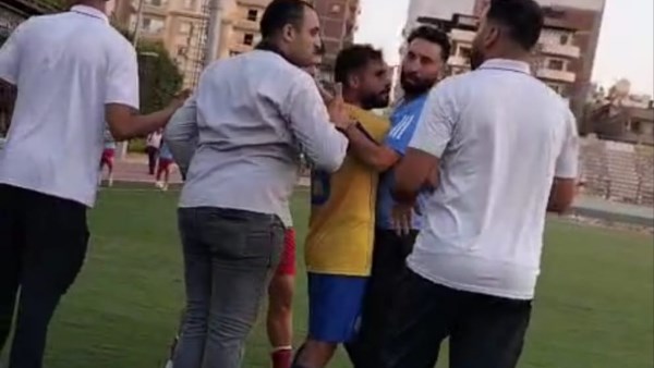 ارشفية 