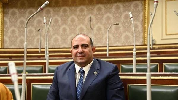 وكيل إفريقية النواب: مصر بوابة الصين لصناعة المستقبل في أسواق إفريقيا وكيل إفريقية النواب: مصر بوابة الصين لصناعة المستقبل في أسواق إفريقيا