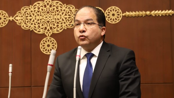  النائب عادل اللمعي، عضو مجلس النواب