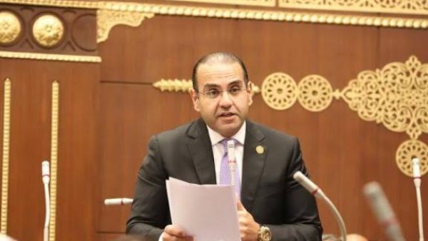 المهندس محمد المنزلاوي، عضو مجلس الشيوخ 