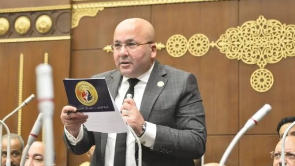  النائب الدكتور إبراهيم عيسى، عضو مجلس الشيوخ