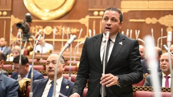  النائب عادل السكري، عضو مجلس الشيوخ