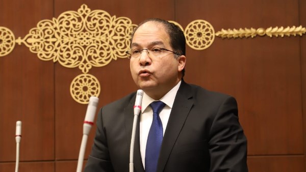  النائب عادل اللمعي، عضو مجلس النواب
