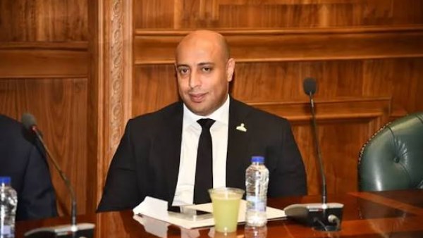  النائب محمد سمير مكي، عضو مجلس الشيوخ