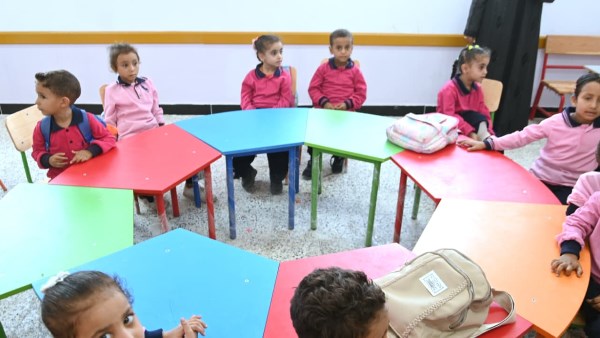 محافظ البحيرة