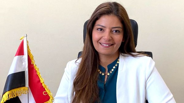 مساعد وزير المالية 