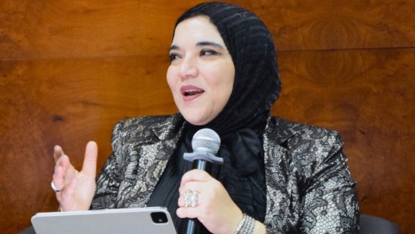 نائب رئيس هيئة الاستثمار