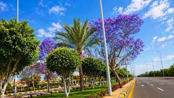 مدينة الشروق 