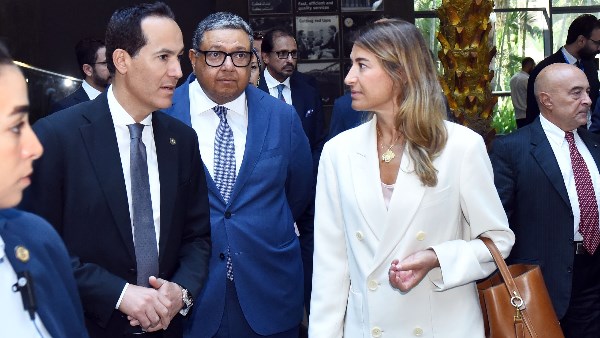الدكتور محمد عوض رئيس هيئة الاستثمار