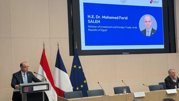الدكتور محمد فريد وزير الاستثمار 